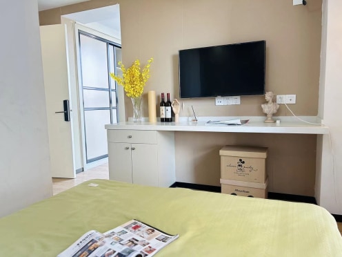 独栋·E-life生活社区 九亭店 九亭公寓，精装一室落地阳台，拎包入住，无中介 开间