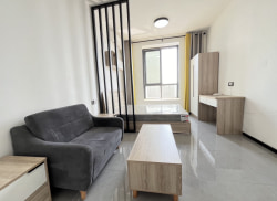 独栋·高运公寓 高崎地铁口店 首月半价  轻奢风一室一厅  可短租可养宠物 1室1厅_高崎社租房