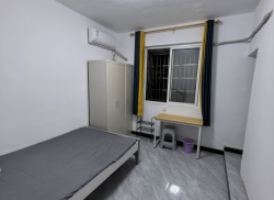 独栋·林田公寓 万象城店 阳明国际/招商局嘉福大厦泰安家园单间公寓直租1104-02 开间_苑田新村租房