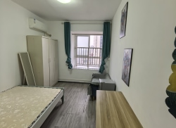 独栋·林田公寓 万象城店 万象城/华润万家商圈公寓直租文苑家园1901-01 开间_苑田新村租房