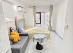独栋·康嘉公寓 东望中心店 近地铁宜居一室大开间 1室1厅_中南·菩悦东望中心租房