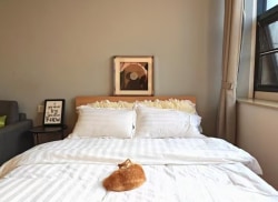 独栋·泊寓 太科园店 【年前租年后住】无中介费+专属优惠+长租折扣 开间_菱湖大道180-8号租房