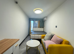 独栋·嘉禾遇公寓 宝龙一城店 岭兜地铁口性价比开间 开间_宝龙一城租房