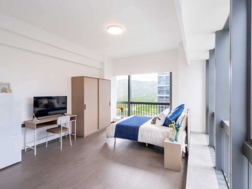 独栋·深合合寓 华润万象店 国企直租 空间宽敞  拎包入住 可申请办理居住证 55平豪华大单间 开间