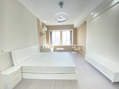 独栋·窝边公寓 明信城C区 大湾区，杨柳河地铁口，精装套一，无中介，可月付 1室1厅