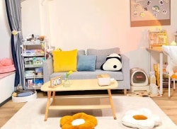 独栋·泊寓 厦门北站店 【学生优惠+包宽带+免水电押金】直租+软三通勤+大单间 1室1厅_万科广场大都荟租房