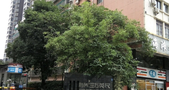 融科三万英尺