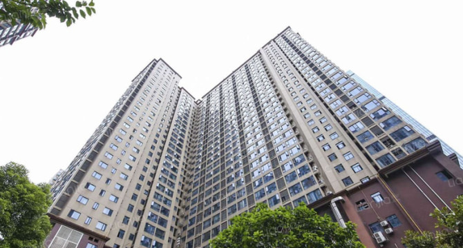 东城港