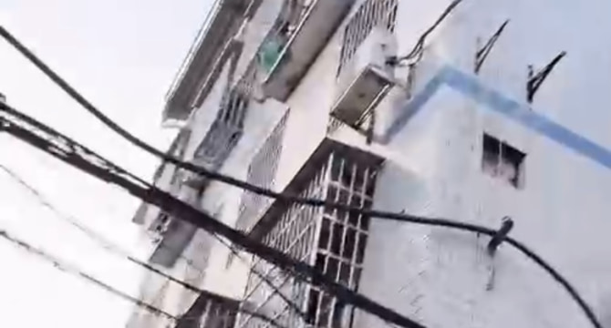 樟树屋