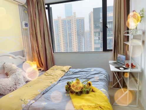 合租·茂华国际湘 4居室 南卧