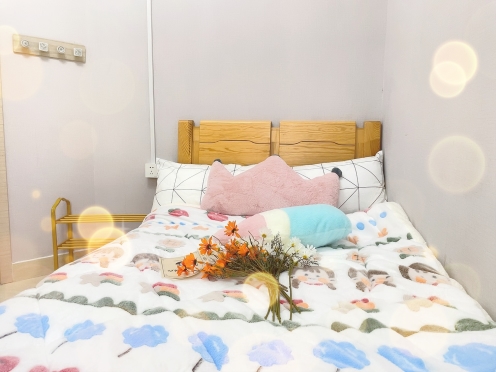 合租·茂华国际湘 4居室 南卧