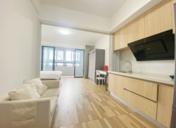 独栋·叶之屋公寓 水香里店 朝南大阳台电梯新洋房环境安静押一付一 1室1厅_水香里租房