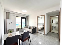独栋·叶之屋公寓 石庄幸福里店 临湖镇浦庄  精装电梯带大阳台 娱乐区免费 1室1厅_临湖镇石庄村沙泾租房