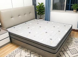 合租·奔龙大厦 1居室 南卧_奔龙大厦租房