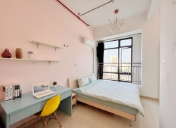 独栋·辰星公寓 佛山金融高新区店 特惠年租免管理费 明亮一居室 近金融高新区 1室1厅_河西商务楼租房