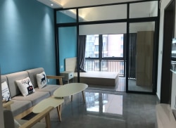 独栋·高新安居 新天地公馆 两房一厅精装公寓 2室1厅_新天地公馆租房