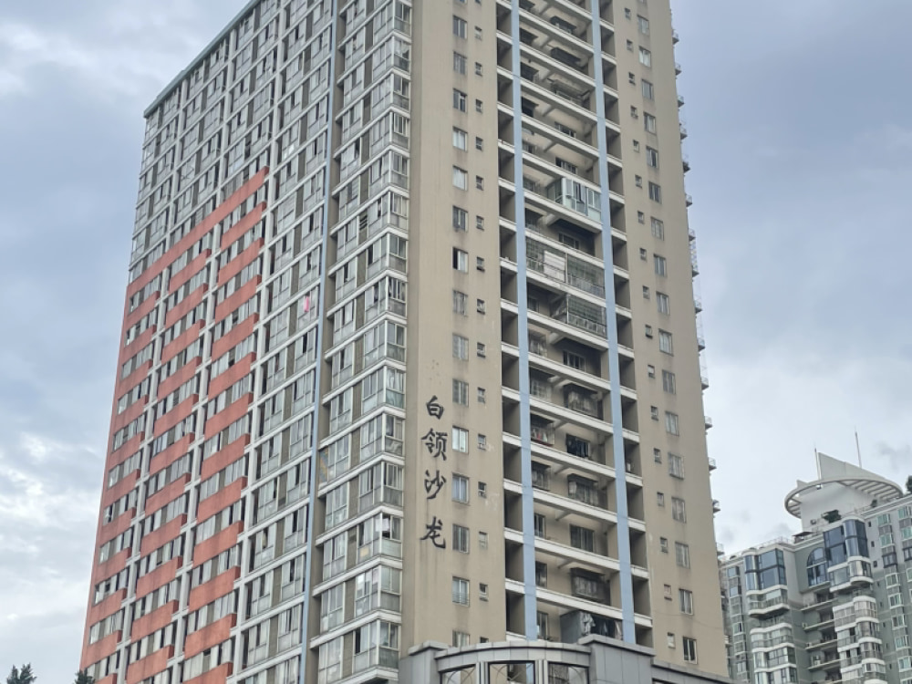 白领沙龙店