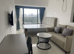 独栋·繁花•寓 安托山一店 安托山双地铁2号7号先150米印力中心山姆旁 朝南单间 开间_侨香雅居租房