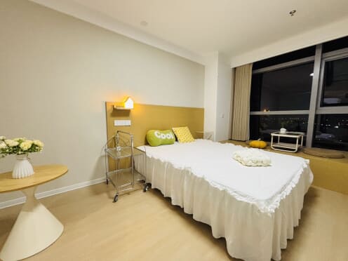 独栋·平发公寓 兆丰路店 精装一房 智能家居 落地窗有隔断 1室1厅