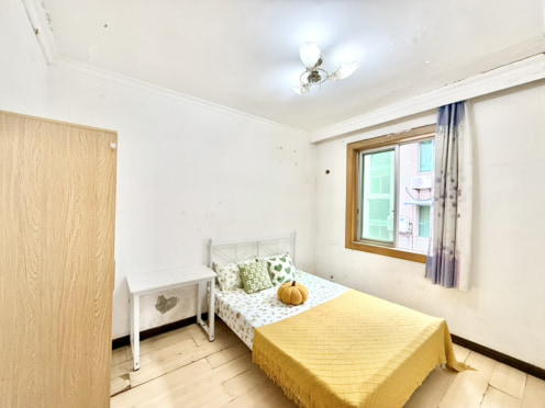 合租·硼砂厂宿舍 5居室 跃层 南卧