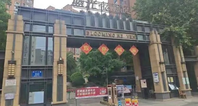 蓝光花满庭