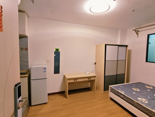 独栋·齐装公寓 雪枫公寓店 整租 一居暖心小窝 开间