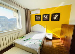 合租·39中朝阳街 5居室 南卧_39中朝阳街租房