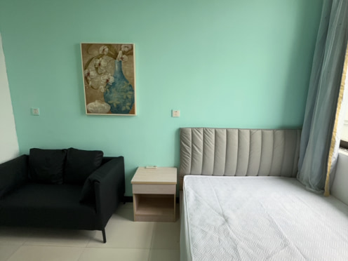 独栋·合木公寓 皮市街店 皮市街网红一条街简约G户型 1室1厅