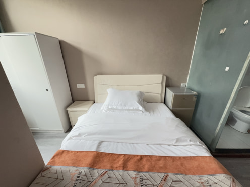 独栋·合木公寓 苏枫寓凤凰街2店 网红凤凰街精装暖居C户型直租近地铁 开间