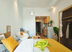 独栋·乐柚公寓 星耀城旗舰店 加 开年特惠好房 大飘窗户型，更舒服更实用 开间_中天星耀城租房