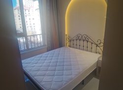 独栋·蒙寓 玫瑰郡 洋房公寓  拎包入住 1室1厅_松江玫瑰郡租房