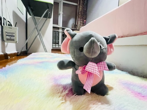 合租·天涯庭苑 5居室 东卧