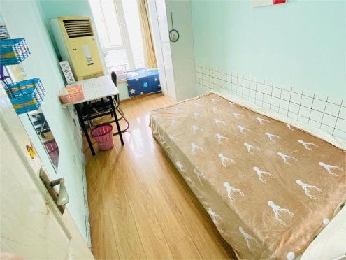 合租·三洲娇子苑 5居室 南卧