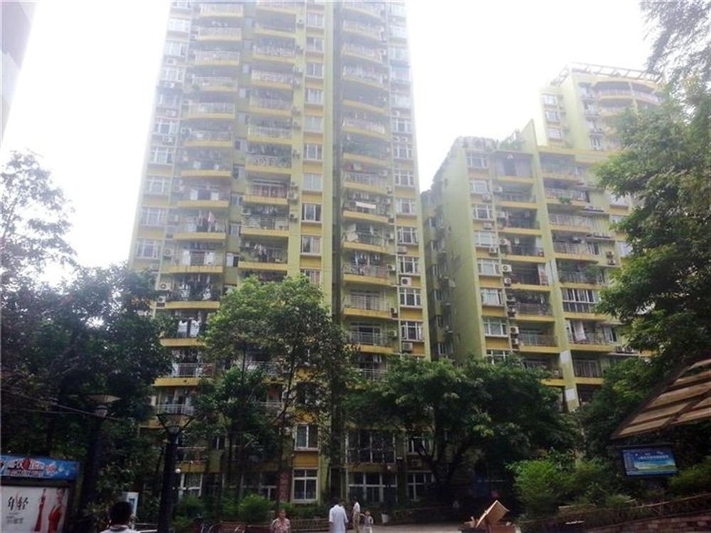 心巢店