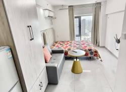 独栋·康佳公寓 咸阳中南菩悦中心 优质精装一室开间 1室1厅_中南·菩悦东望中心租房