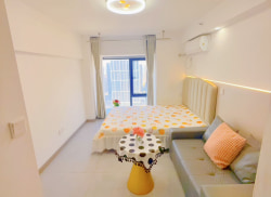 独栋·康佳公寓 咸阳中南菩悦中心 地铁口精装一室 1室1厅_中南·菩悦东望中心租房