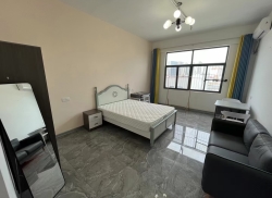 独栋·新利江公寓 南站大道店 江南区 南站大道 沙井立交 精装大单间 电梯房 押一付一 开间_奥园瀚德誉江南租房