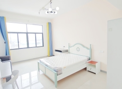 独栋·新利江公寓 南站大道店 江南区 南站大道 东盟汽配城 海吉星 精装大单间 mjs 开间_奥园瀚德誉江南租房