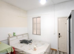 独栋·新利江公寓 陈东村店 可短租农职大 清川站相思湖附近A101 开间_陈东谷塘西18号租房