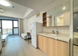 独栋·徐庄东南青年汇 徐庄青年广场二社区 高层，落地大阳台，干湿分离 开间_玄武大道122号租房