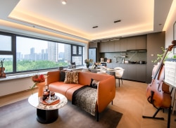 独栋·瓴寓国际 河西南G116社区 奥体核心区 地铁上盖！河西南品质社区，270度河景+底商配套 1室2厅_青莲街租房