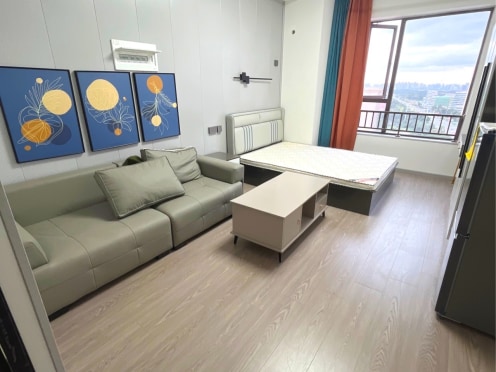 独栋·成都宽寓 置信逸都城 一室大开间 1室1厅