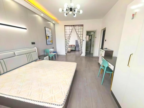 独栋·成都宽寓 越鞠苑店 越鞠苑超大一室一厅 1室1厅