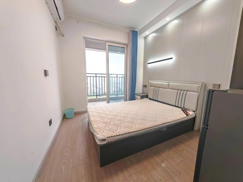 合租·合能珍宝琥珀3期 3居室 南卧