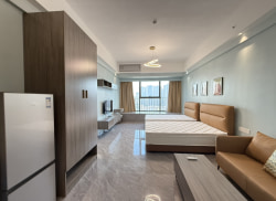 独栋·之垚公寓 京华广场店 广佛线金融高新区地铁口 京华广场全新平层单间 近万达商圈 1室1厅_京华广场租房