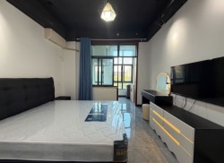 独栋·合肥伊家公寓 祥源城 高新软件园 银泰城隔壁 极简暗黑风 独立阳台押一付一FRY 1室1厅_祥源城湖山小筑租房