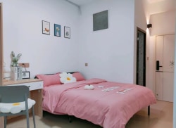 独栋·艾米阳光公寓 清龙旅馆店 花之城/车行天下/金瓦路/东部客运站带阳台直租 开间_青龙村555号租房