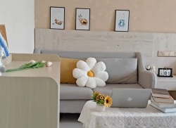 独栋·艾米阳光公寓 拓东路店 特惠房源，公寓直租，可短租，押一付一 1室1厅_石家巷10号院租房