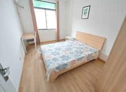 合租·望园小区 4居室 南卧_望园小区租房