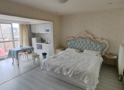 独栋·平台合作机构 港湾店 港湾壹号一室公寓 开间_港湾壹号租房